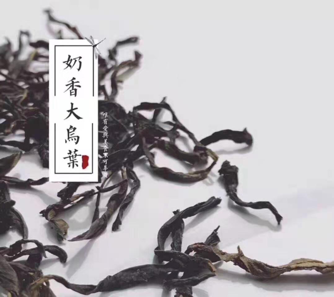 大乌叶.jpg 大乌叶.jpg